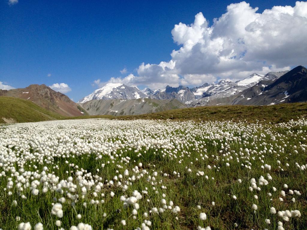 Albergo Quarto Pirovano Passo Stelvio Exteriör bild